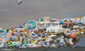 Ô nhiễm do rác thải nhựa