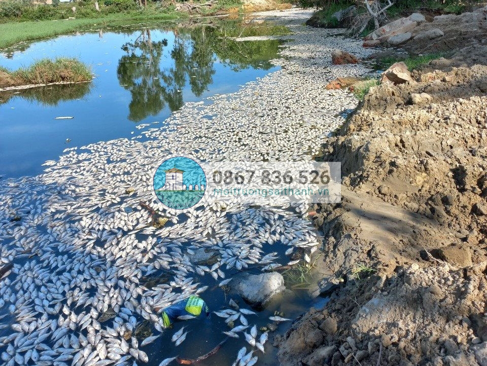 Đoạn sông xảy ra cá chết 1km, thuộc phạm vi Tiểu dự án 1 “Nạo, vét thoát lũ khẩn cấp sông Cổ Cò (đoạn qua địa phận thành phố Đà Nẵng)”