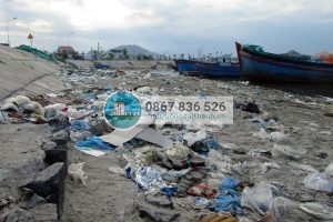 Tình trạng môi trường tại các bãi biển Việt Nam.